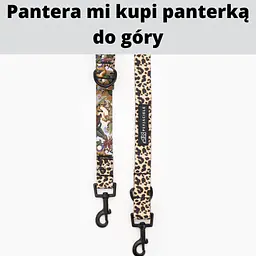 Smycz przepinana dla 2 mikro psów - Master