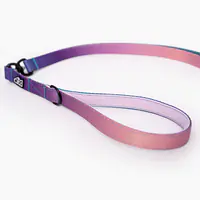 Leash for 2 small dogs - Master