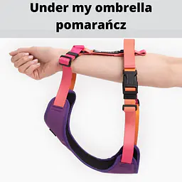 Anti-leakage harness - Master