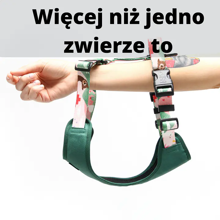 Szelki bezuciskowe antyucieczkowe - Master