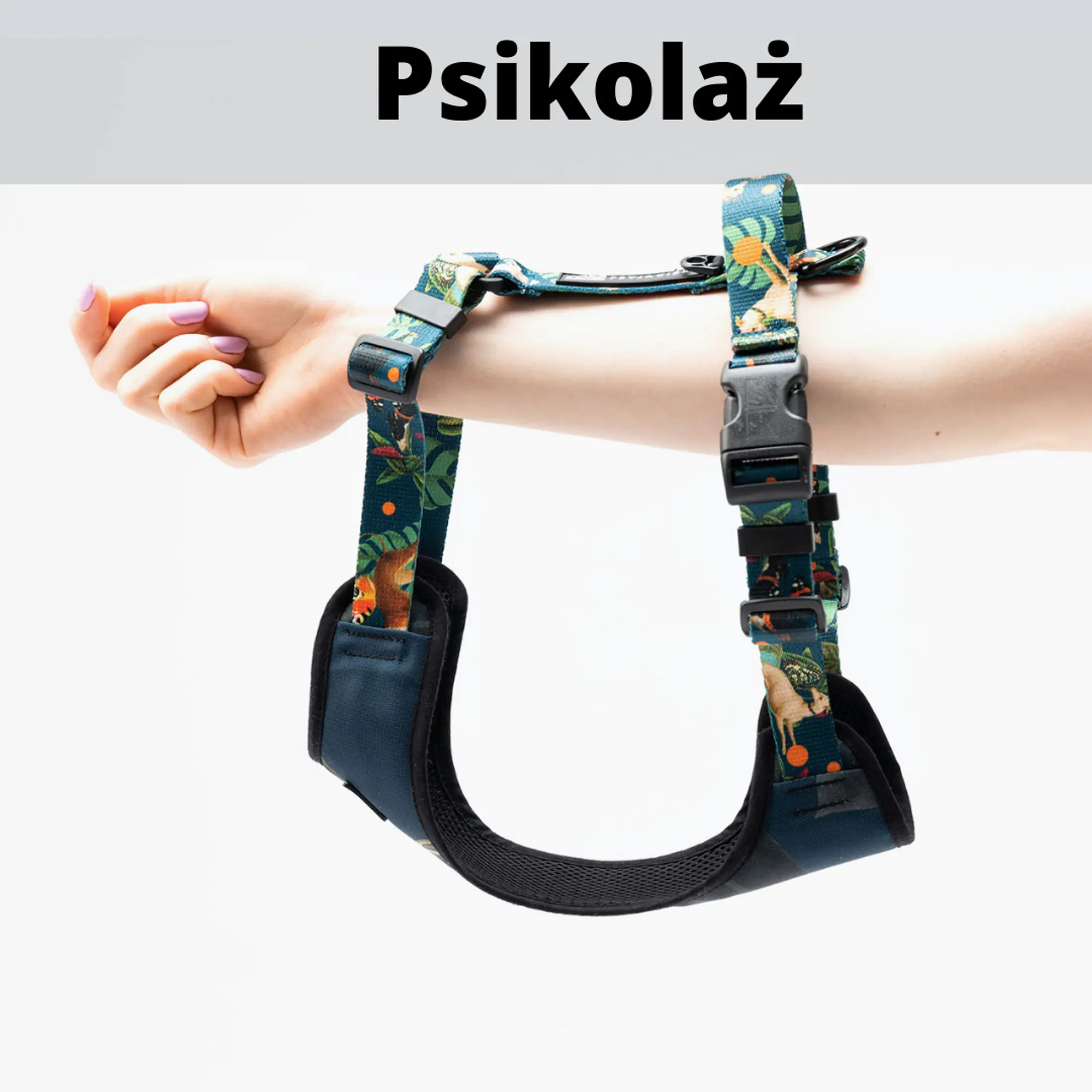 Anti-leakage harness - Master