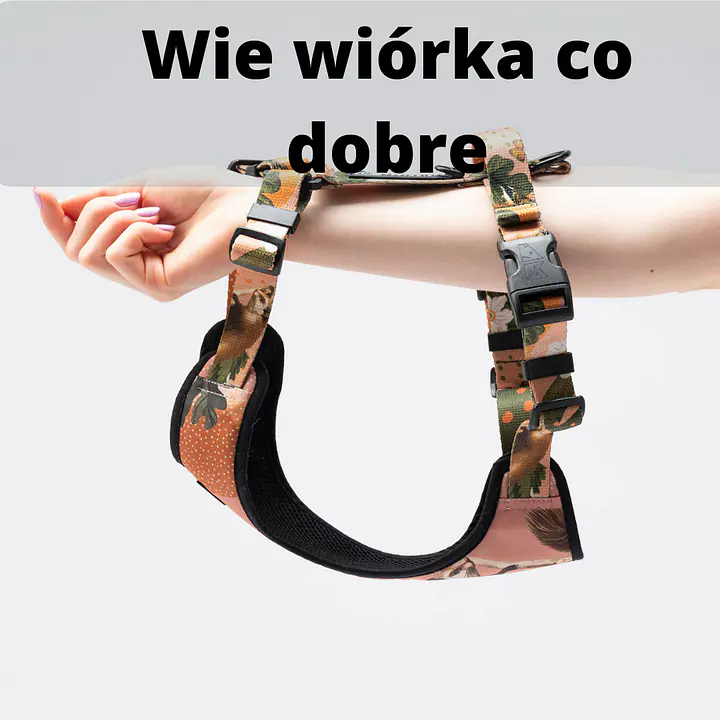 Anti-leakage harness - Master