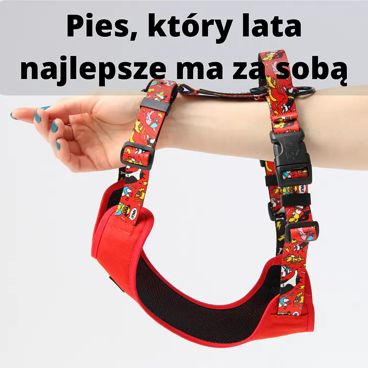 Szelki bezuciskowe antyucieczkowe - Master