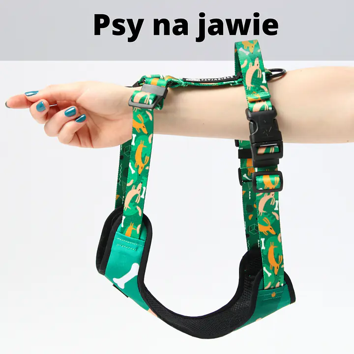 Anti-leakage harness - Master