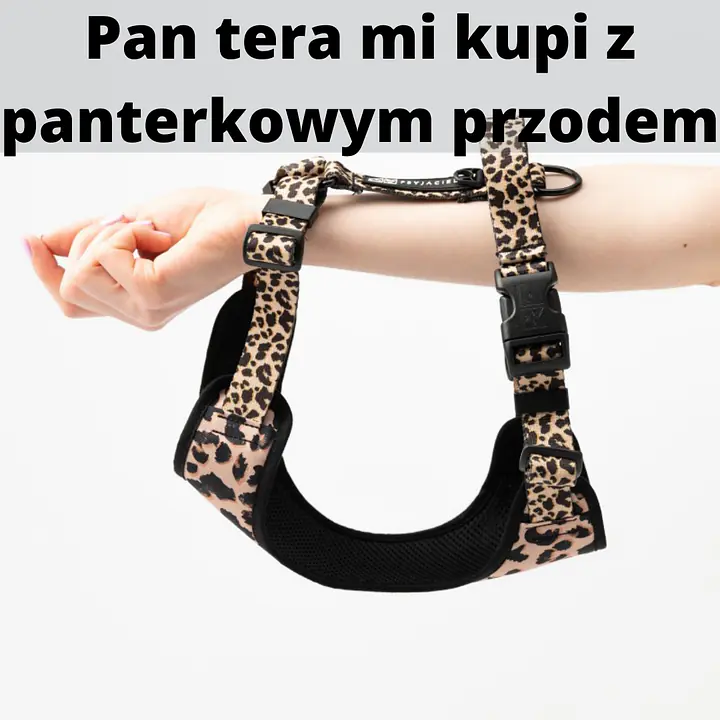 Anti-leakage harness - Master