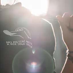 WYPRZEDAŻ Bluza "Joga sroga" short - Master