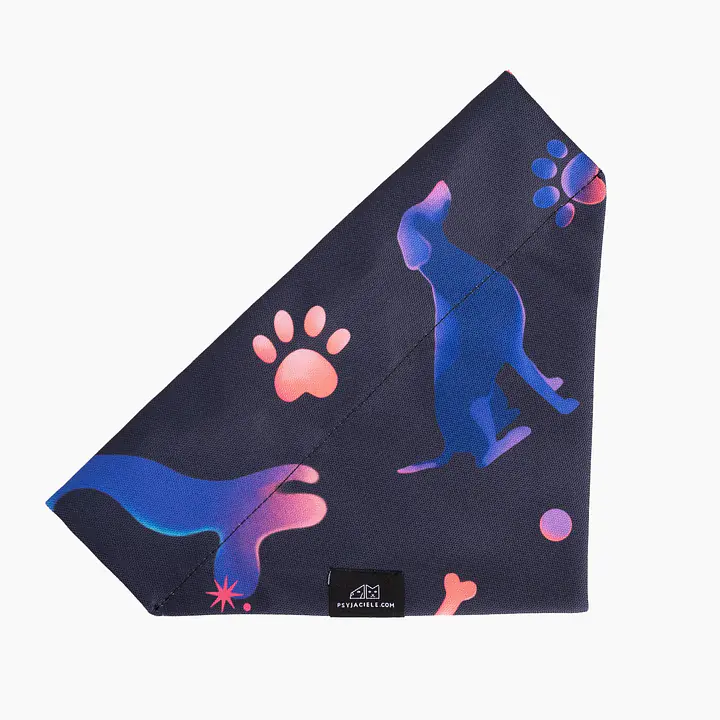 The bandana "Psychedelic" collar - Master