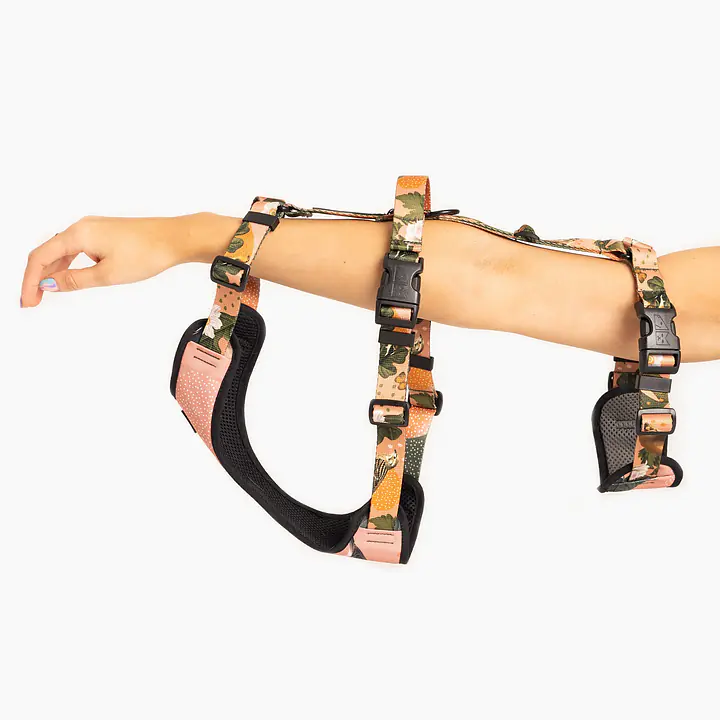 Anti-leakage harness - Master
