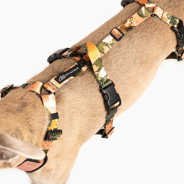 Anti-leakage harness - Master