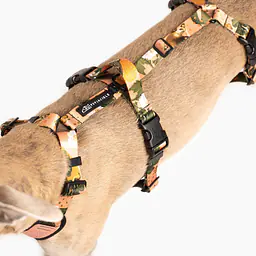 Anti-leakage harness - Master