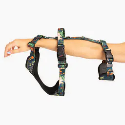 Anti-leakage harness - Master