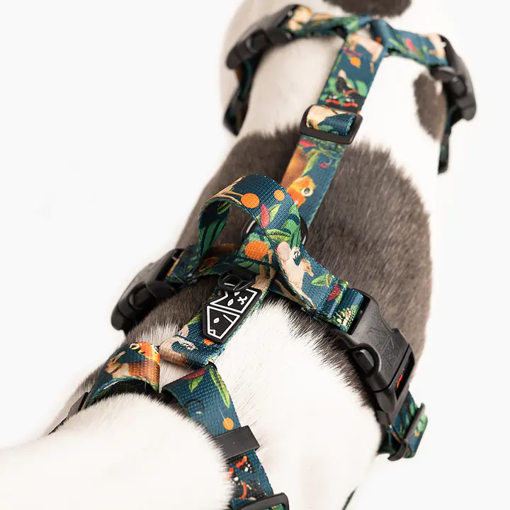 Anti-leakage harness - Master