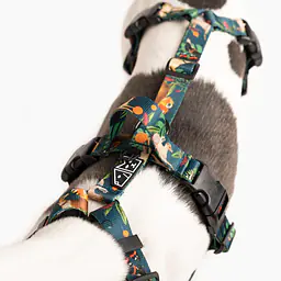 Anti-leakage harness - Master