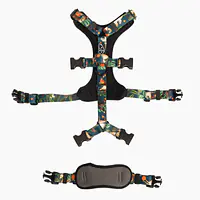 Anti-leakage harness - Master
