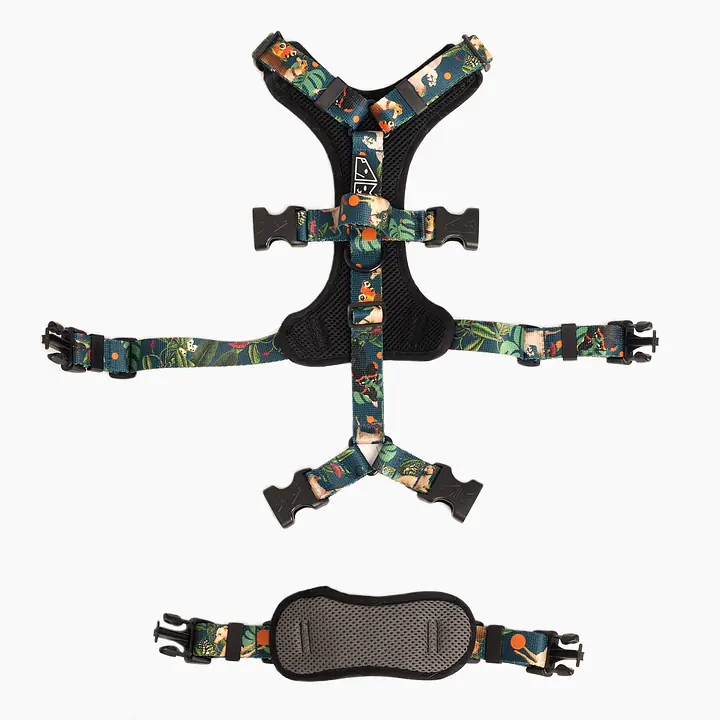 Anti-leakage harness - Master