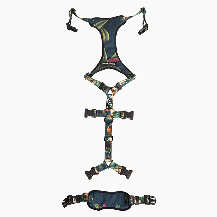 Anti-leakage harness - Master