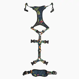 Anti-leakage harness - Master