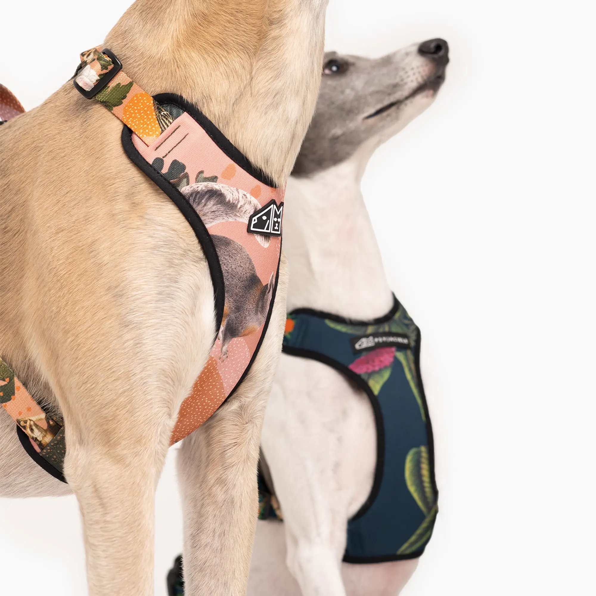 Anti-leakage harness - Master