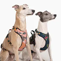 Anti-leakage harness - Master