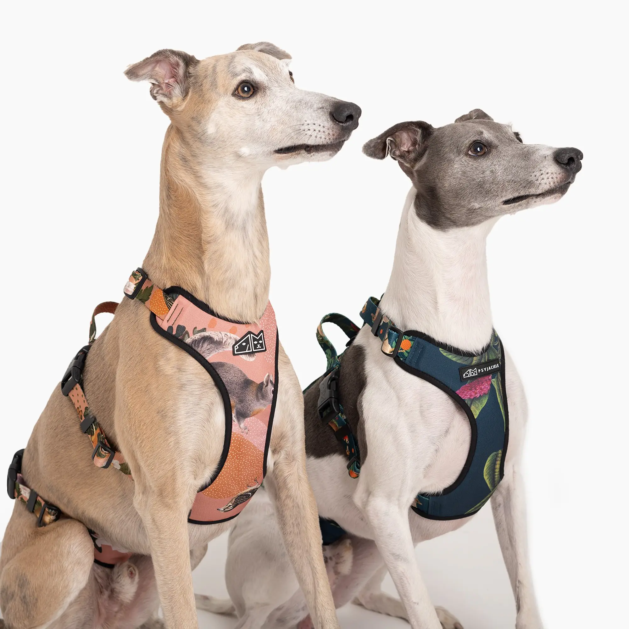 Anti-leakage harness - Master