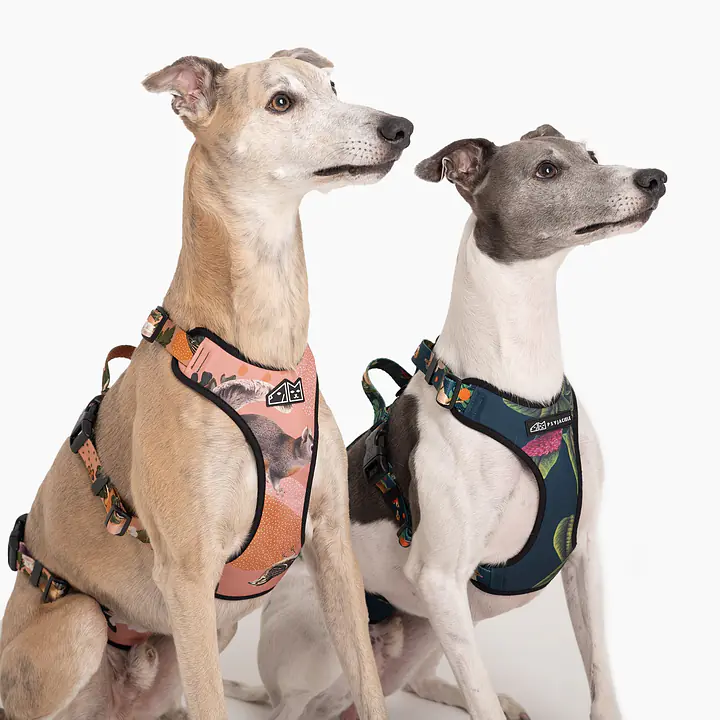 Anti-leakage harness - Master