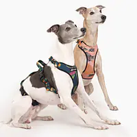 Anti-leakage harness - Master