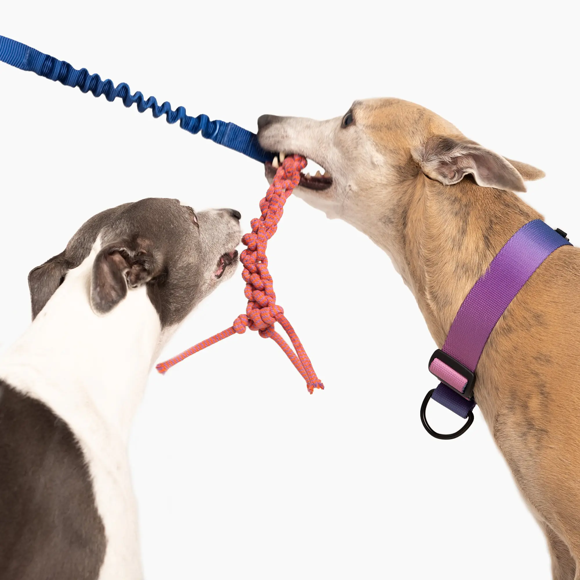 Szarpak "Navy AF" - Master