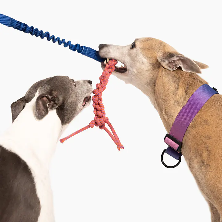 Szarpak "Navy AF" - Master