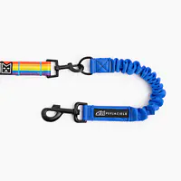 Shock absorber "Blue AF" - Master