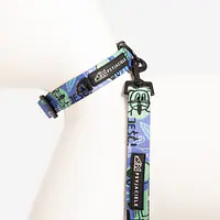 Dog or cat collar "Walk or treat" - Master