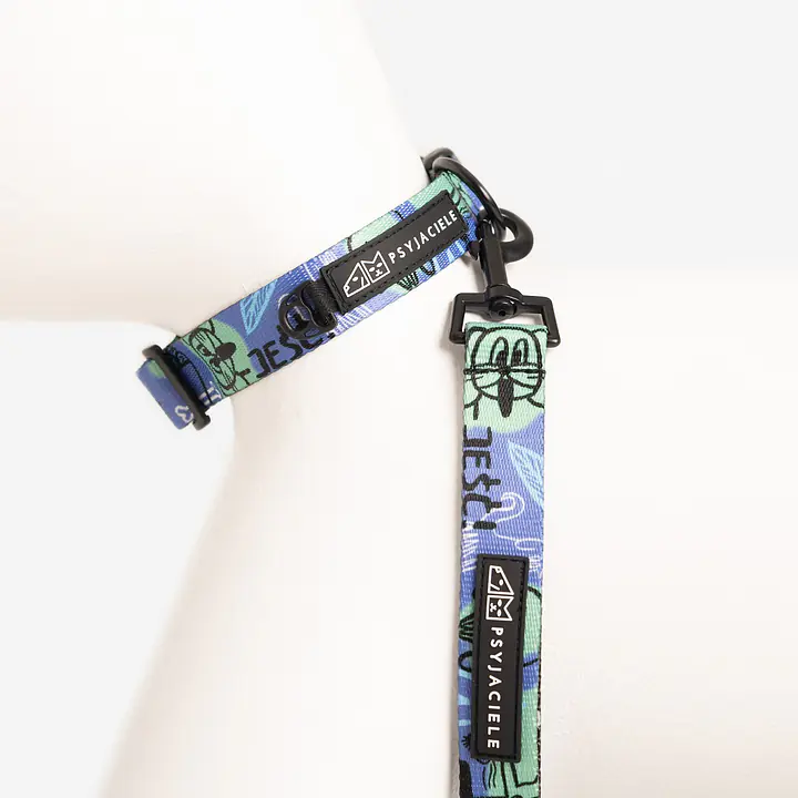 Dog or cat collar "Walk or treat" - Master