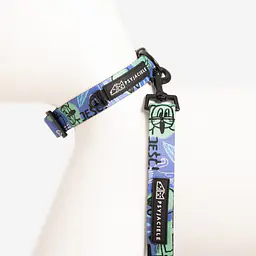 Dog or cat collar "Walk or treat" - Master