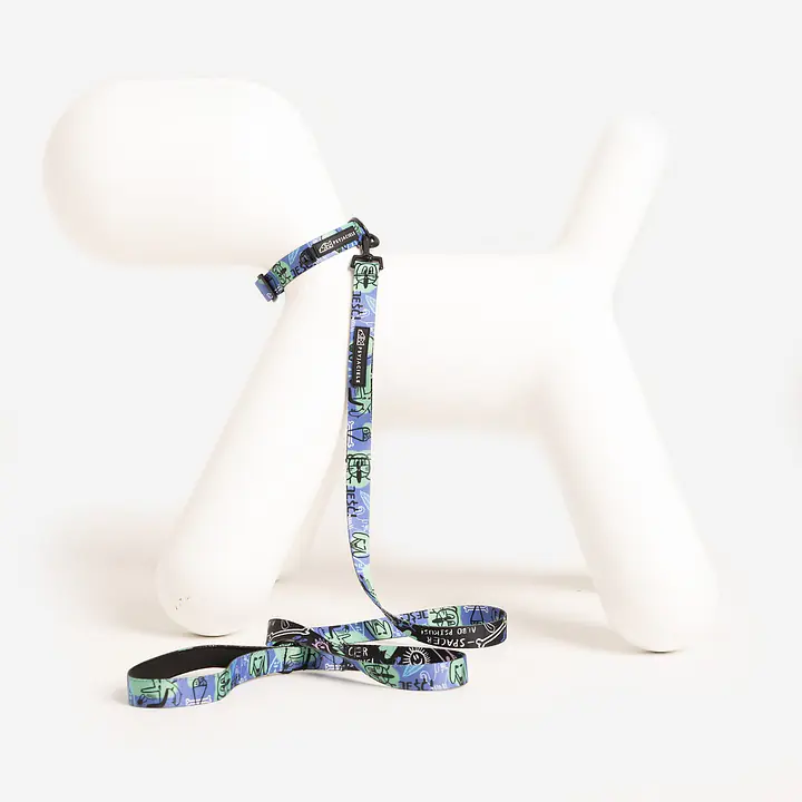 Dog or cat collar "Walk or treat" - Master