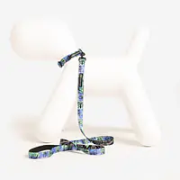 Dog or cat collar "Walk or treat" - Master