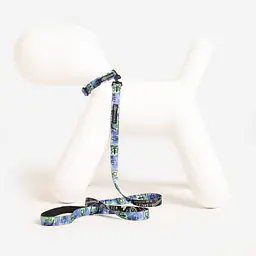 Dog or cat collar "Walk or treat" - Master