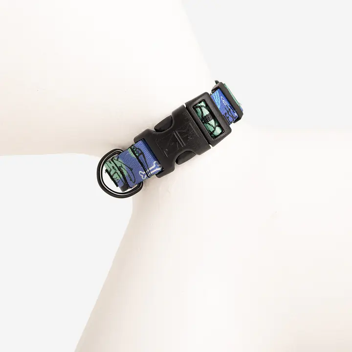 Dog or cat collar "Walk or treat" - Master