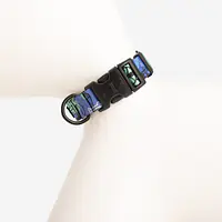 Dog or cat collar "Walk or treat" - Master