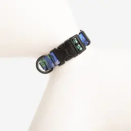 Dog or cat collar "Walk or treat" - Master