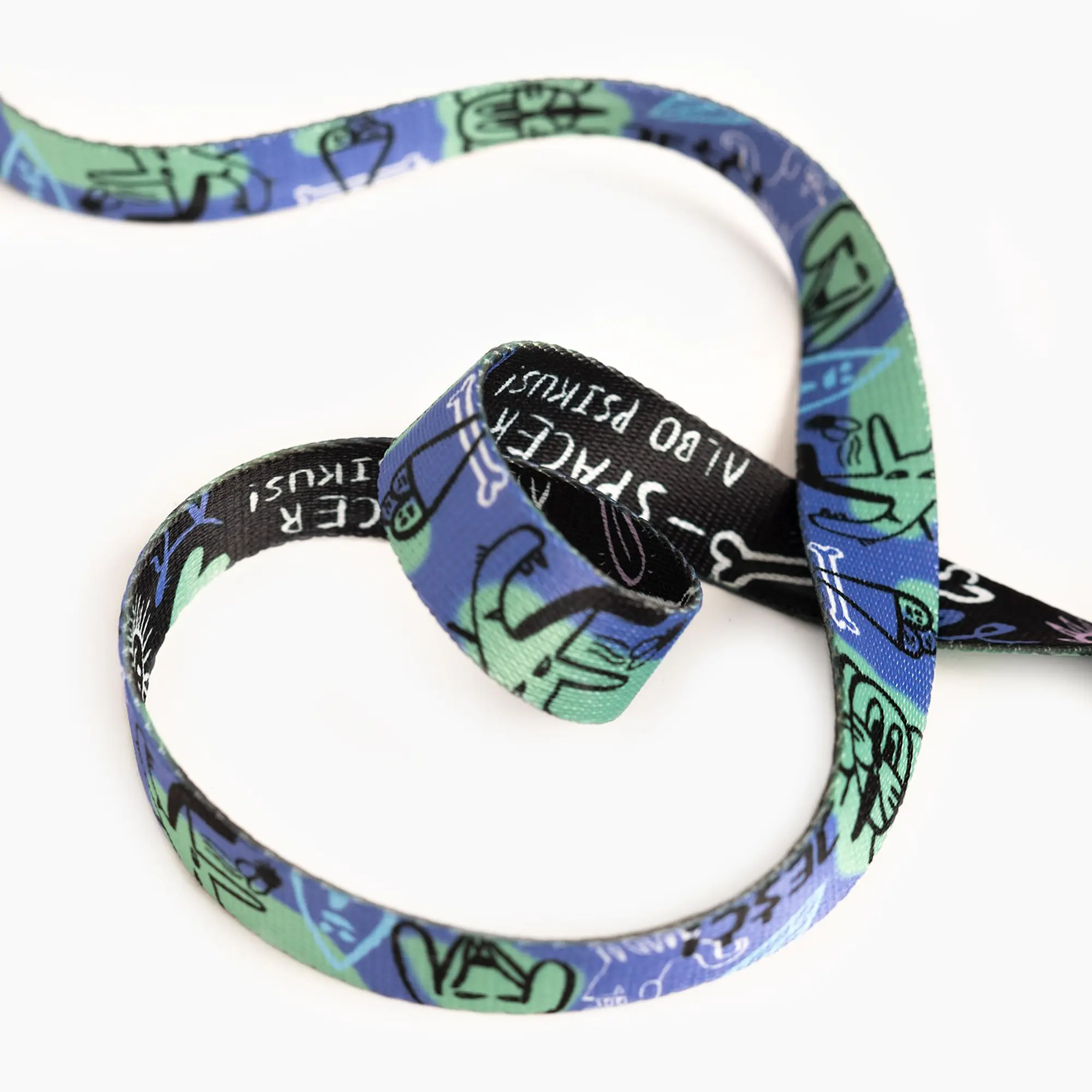 Dog or cat collar "Walk or treat" - Master