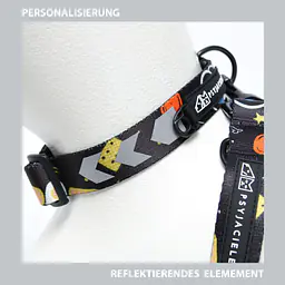 Dog or cat collar "Walk or treat" - Master