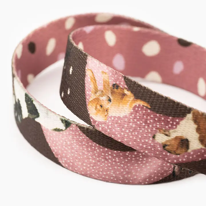 WYPRZEDAŻ Smycz miejska dla psa lub kota "Dobry, taki nie za słodki" - Master