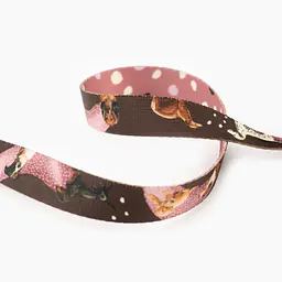 WYPRZEDAŻ Smycz miejska dla psa lub kota "Dobry, taki nie za słodki" - Master