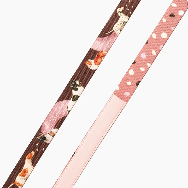 WYPRZEDAŻ Smycz miejska dla psa lub kota "Dobry, taki nie za słodki" - Master