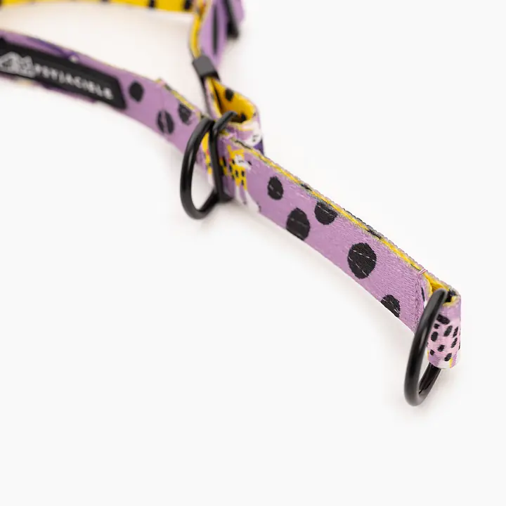 Half-clamp collar "Doggo in sheep's clothing" - Master