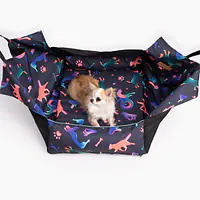 Car seat "Sausage dog" - Master