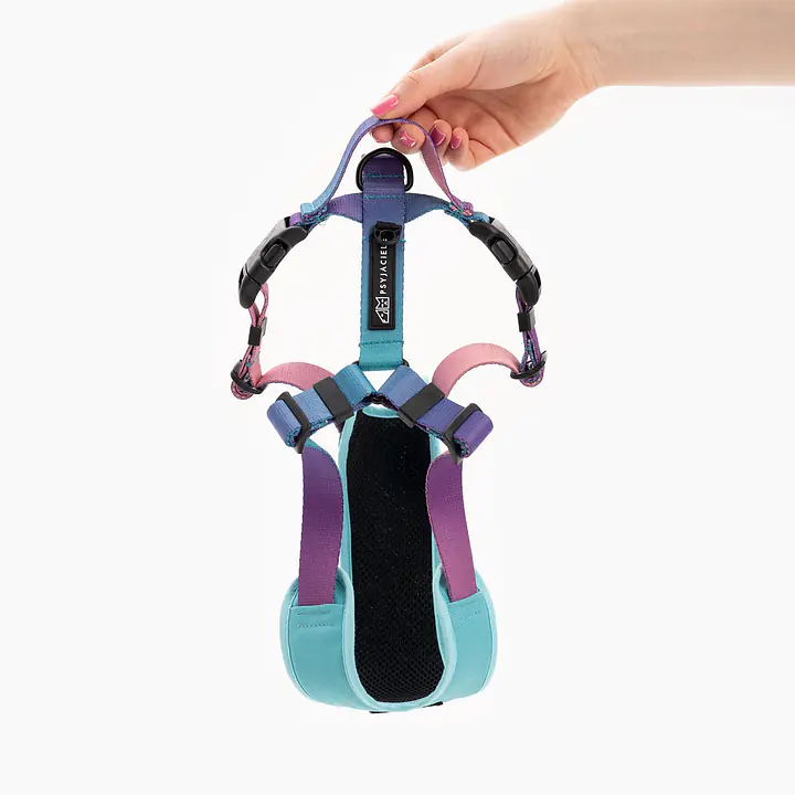 Szelki bezuciskowe dla psa lub kota "Under my ombrella" TURKUS - Master