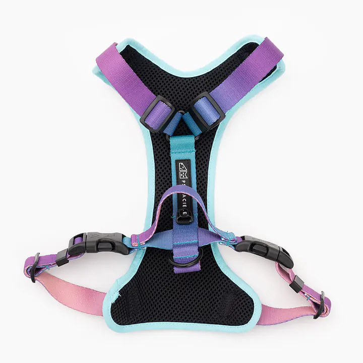 Szelki bezuciskowe dla psa lub kota "Under my ombrella" TURKUS - Master