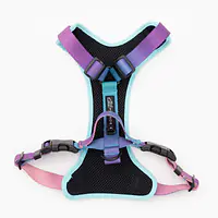 Szelki bezuciskowe dla psa lub kota "Under my ombrella" TURKUS - Master