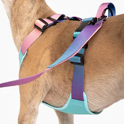 Szelki bezuciskowe dla psa lub kota "Under my ombrella" TURKUS - Master