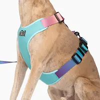 Szelki bezuciskowe dla psa lub kota "Under my ombrella" TURKUS - Master